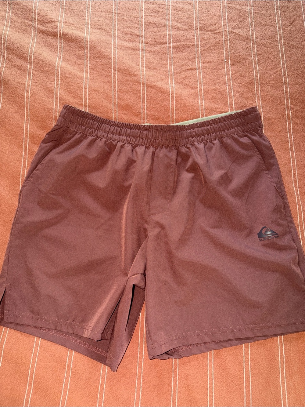 Quiksilver Men's Rust Swim Trunks